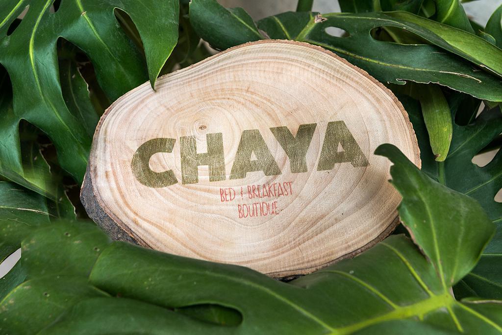 Chaya B&B Boutique Meksika Oda fotoğraf