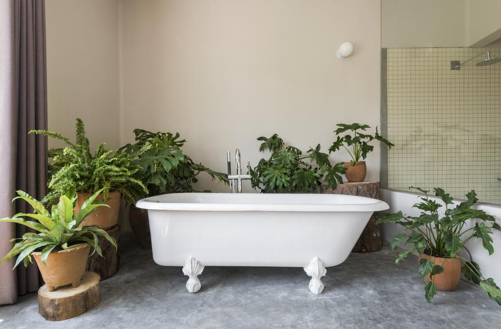 Chaya B&B Boutique Meksika Dış mekan fotoğraf