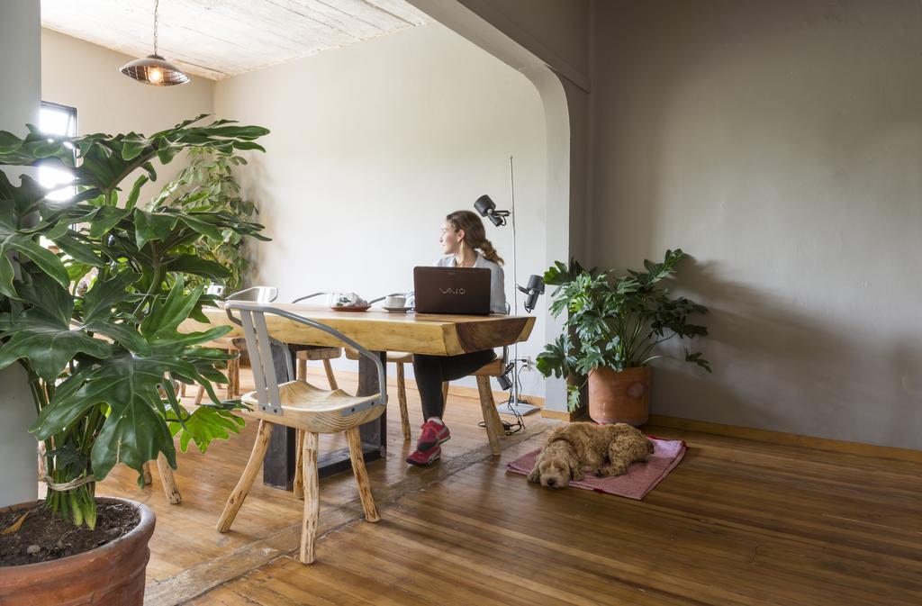 Chaya B&B Boutique Meksika Dış mekan fotoğraf